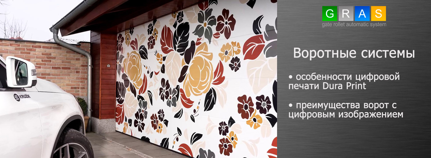 ГОЛОВНА - фото ГОЛОВНА - фото