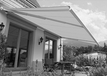 ГОЛОВНА - фото ГОЛОВНА - фото