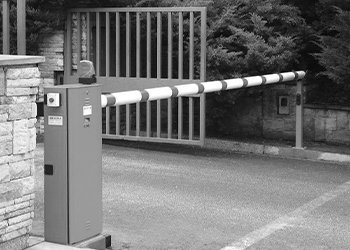 ГОЛОВНА - фото ГОЛОВНА - фото